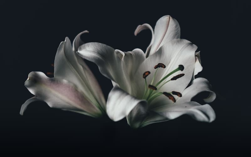 Memorial flowers