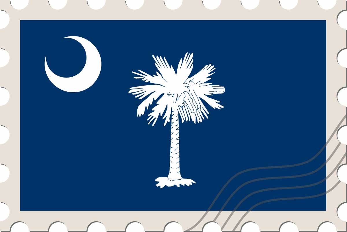 South Carolina state flag