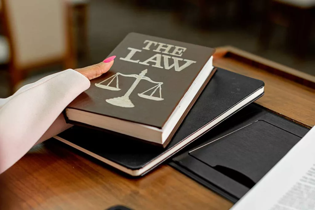 A Legal Text on Bedsore Lawsuits