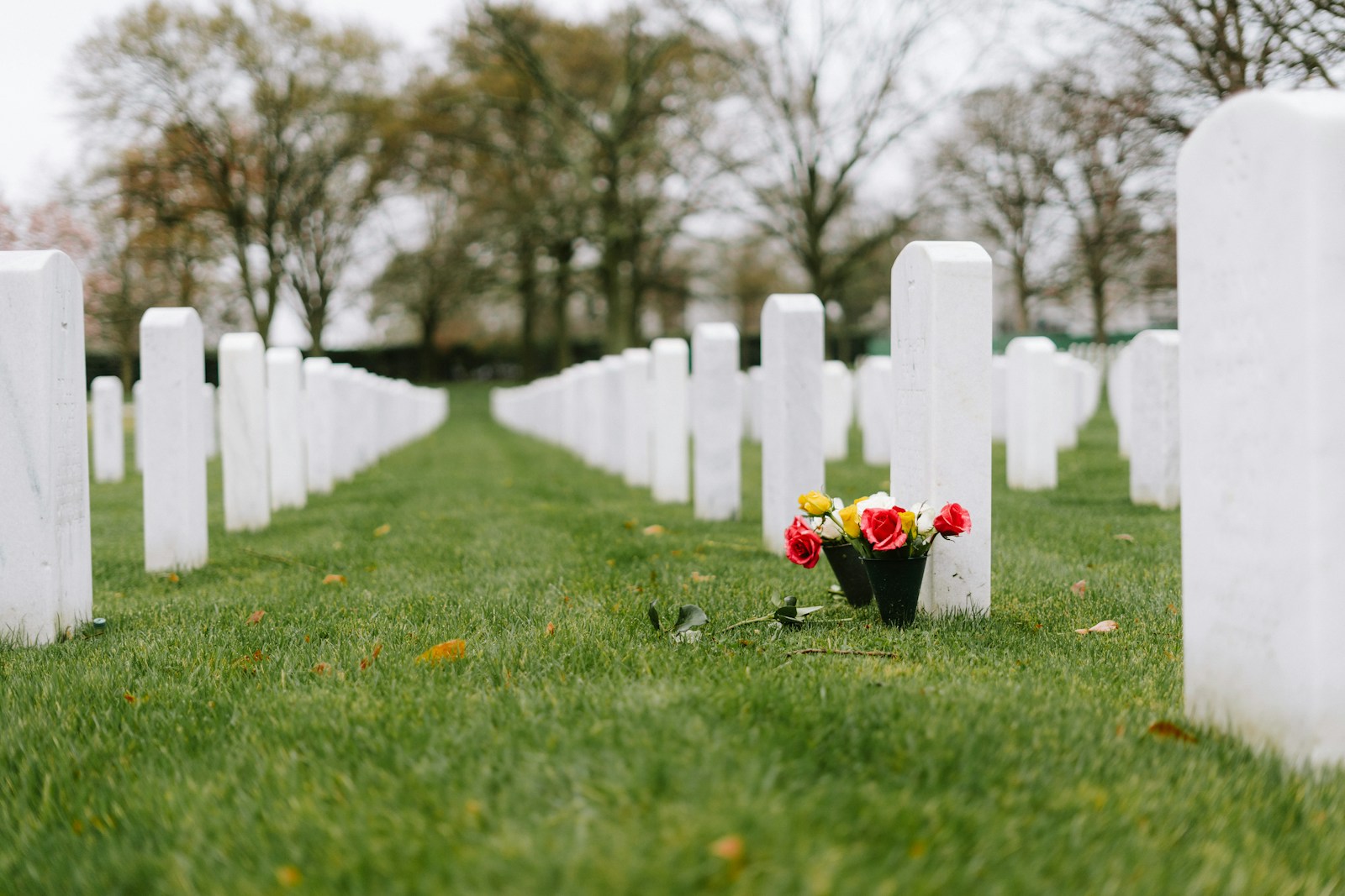 Using the Wrong Gravesite or Plot